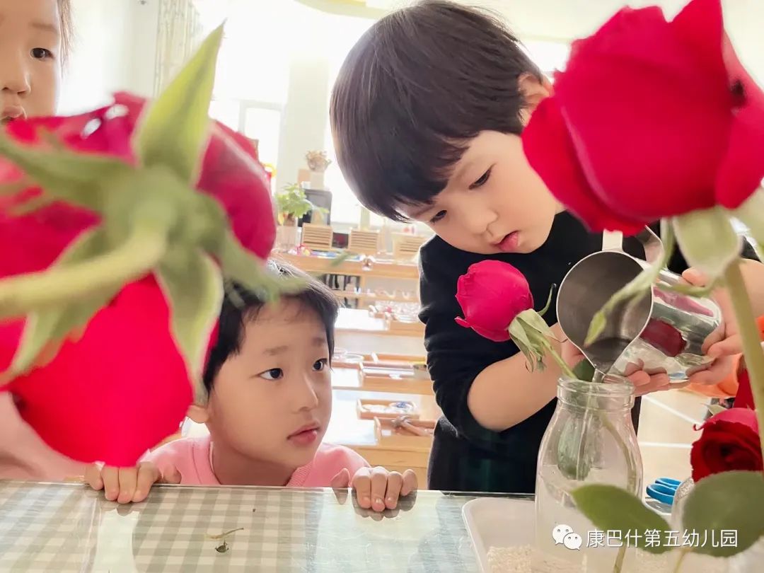 幼儿园小班生活趣事：