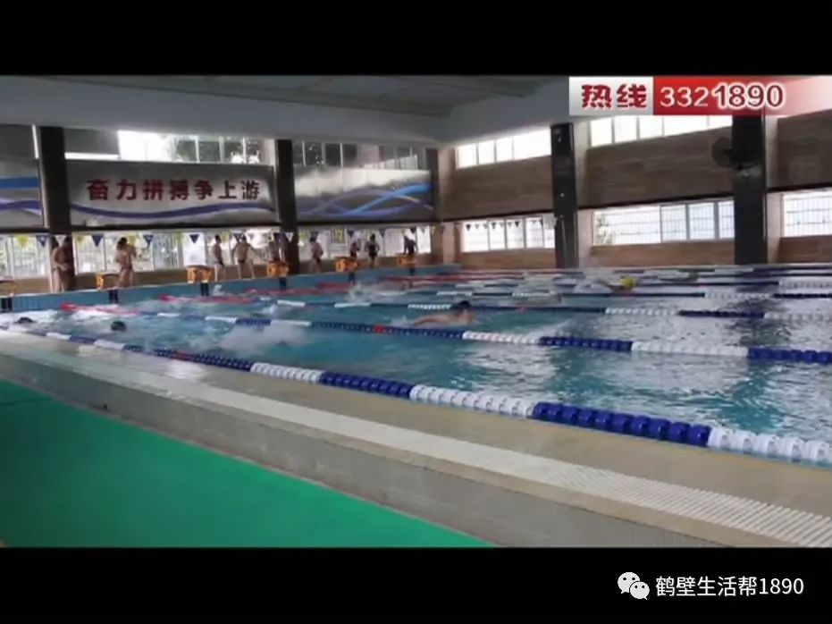 游泳冠军是谁_游泳冠军多少岁了_游泳冠军张雨霏